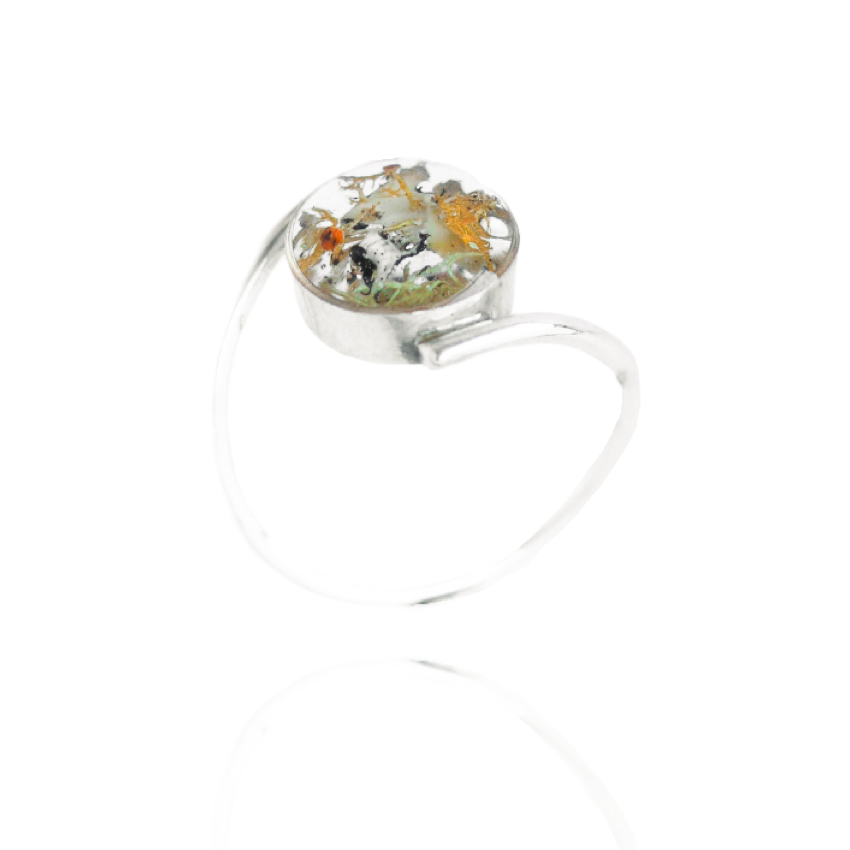 Lichen Ring