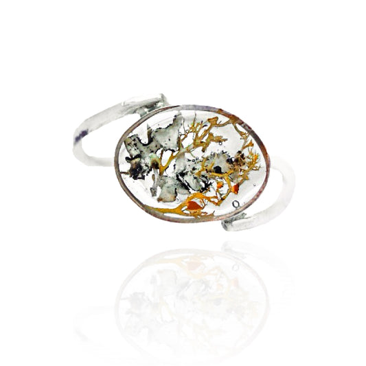 Lichen Ring